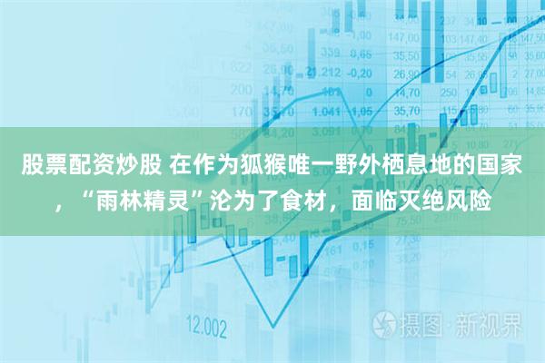 股票配资炒股 在作为狐猴唯一野外栖息地的国家，“雨林精灵”沦为了食材，面临灭绝风险