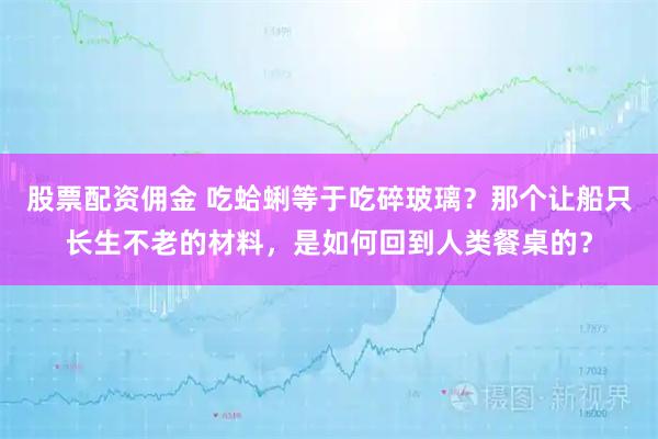 股票配资佣金 吃蛤蜊等于吃碎玻璃？那个让船只长生不老的材料，是如何回到人类餐桌的？